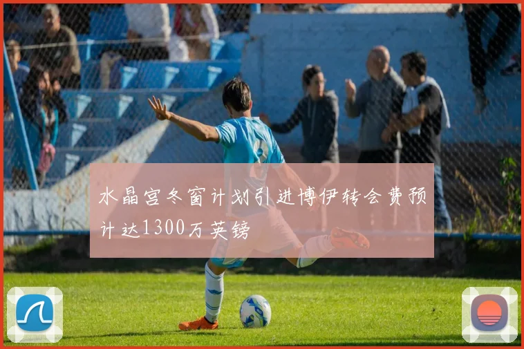 水晶宫冬窗计划引进博伊转会费预计达1300万英镑